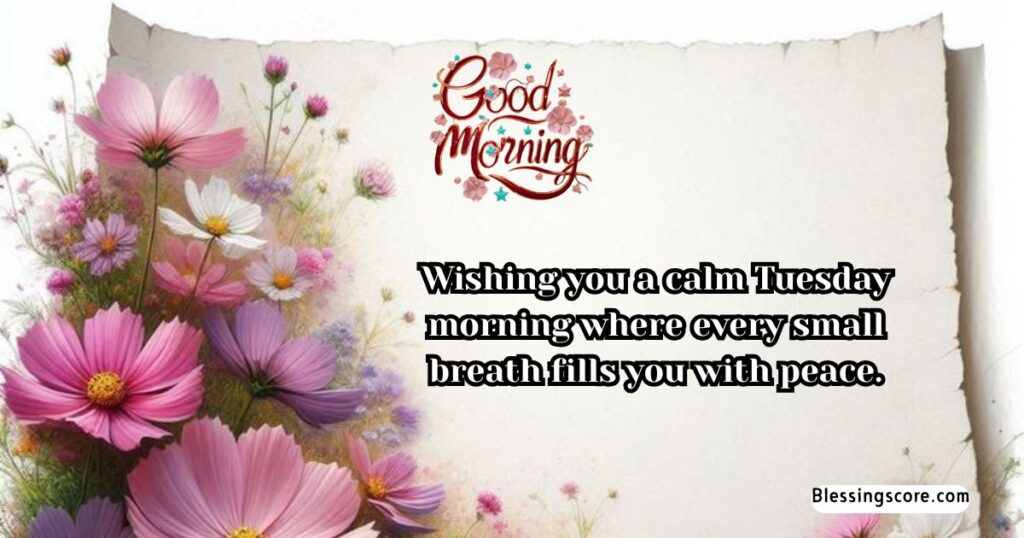good morning tuesday - Wishing you a calm Tuesday