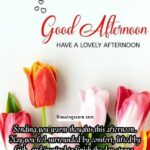 99+ Good Afternoon Blessings, Prayers, Images, and Quotes