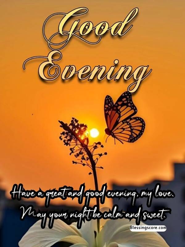 Best Evening and Night Messages for Your Love and Special Someone