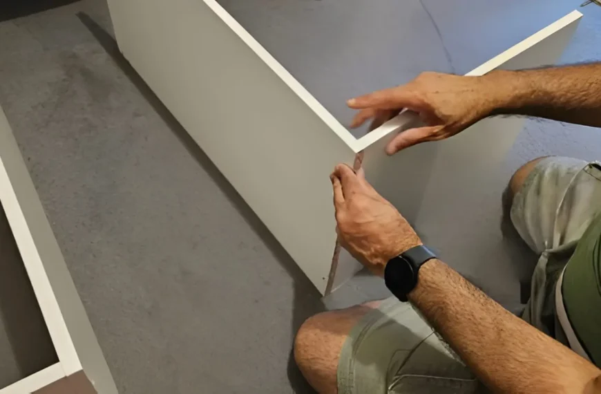 How a Same-Day Termite Inspection Protects Your Melbourne Home from Hidden Damage