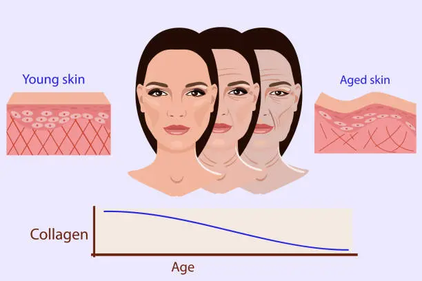 The Science of Aging How Modern Wrinkle Reduction Treatment Works at the Cellular Level
