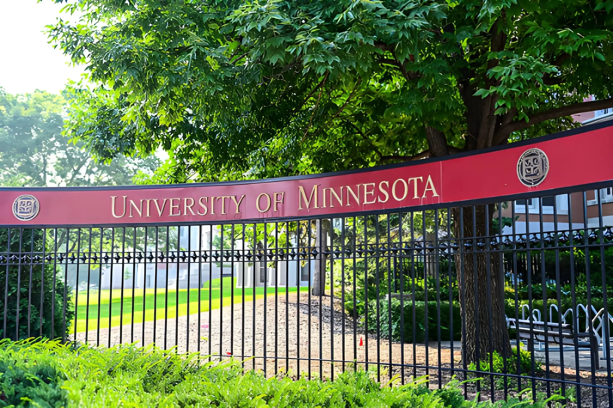 Tips for Picking the Right Graduation Venue in Minnesota