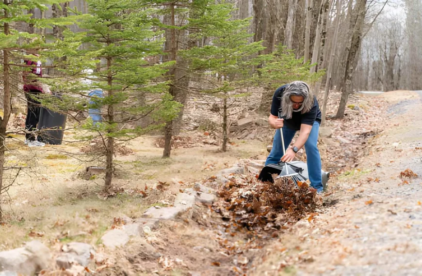 Keeping Your Yard Healthy With Smart Seasonal Leaf Clean Up