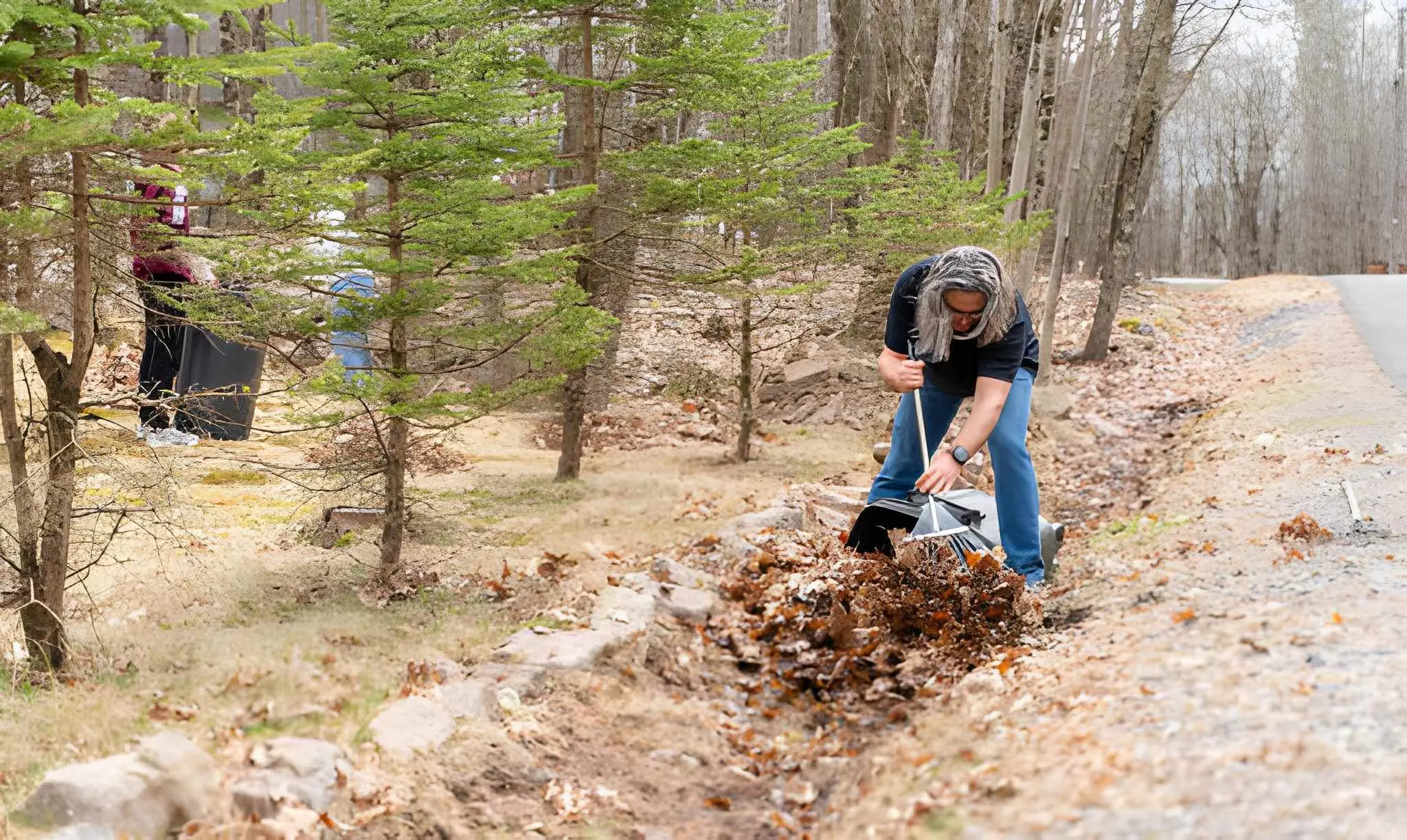 Keeping Your Yard Healthy With Smart Seasonal Leaf Clean Up