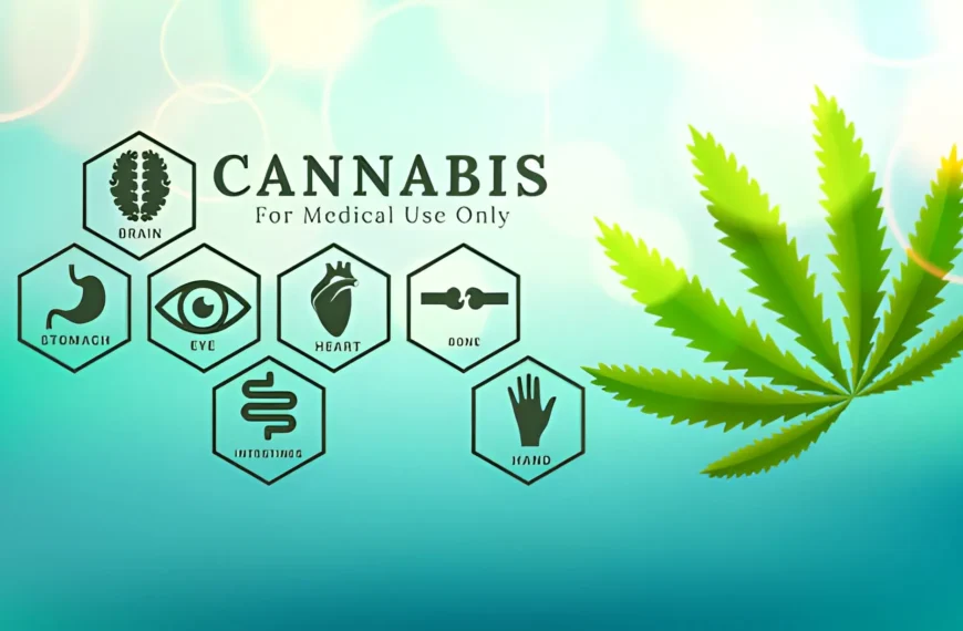 Ways Medical Cannabis Supports Holistic Wellness