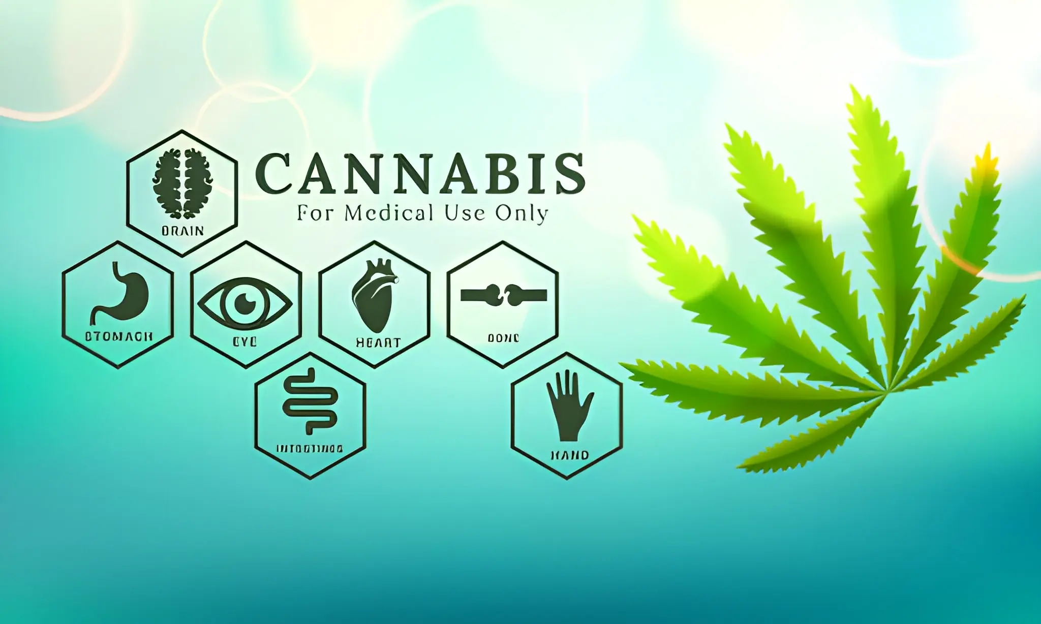 Ways Medical Cannabis Supports Holistic Wellness