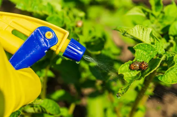 Top Garden Pest & Disease Products Every Home Gardener Should Know