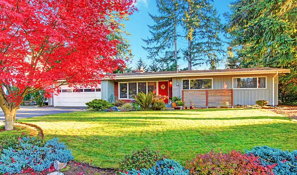 Weed-Free Wonders: How to Keep Your Yard Looking Pristine All Season