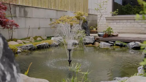 When the Garden Glows: The Ultimate Guide to Solar Pond Lights and Pumps