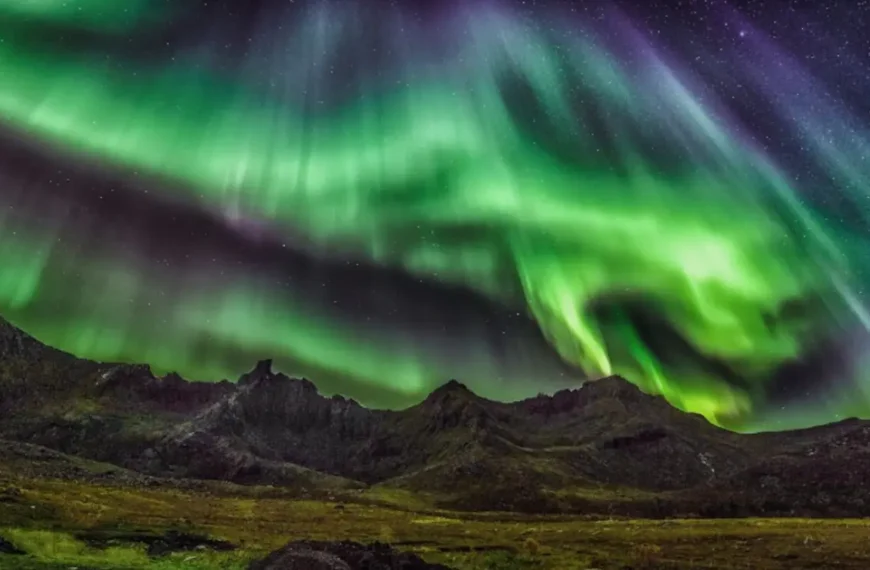 Northern Lights Forecast How to Predict, Plan, and Actually Catch the Aurora Borealis