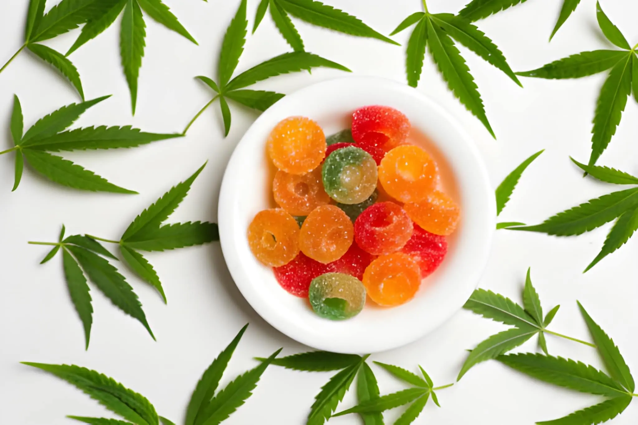 Wellness Made Tasty The Growing Trend of CBD Gummies