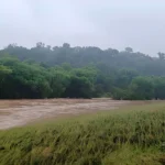 Who to Call When the Creek Rises Local Experts on Fast Flood Recovery